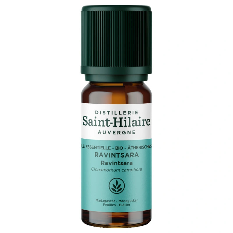 Ätherisches Öl Ravintsara BIO – 10ml
