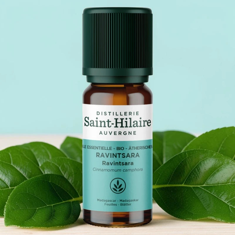 Huile essentielle Ravintsara BIO - 10ml