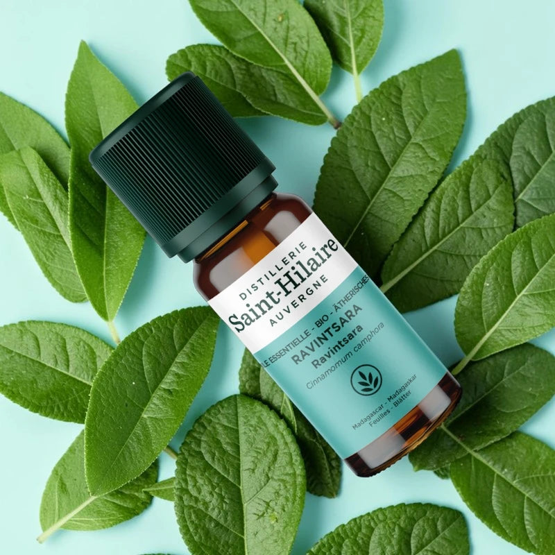 Huile essentielle Ravintsara BIO - 10ml