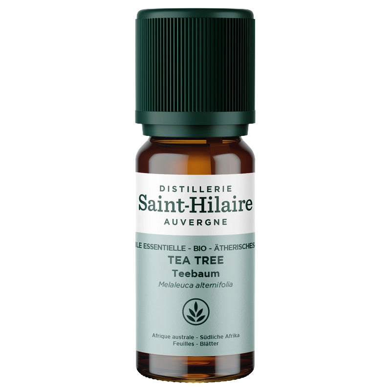 Ätherisches Öl Teebaum BIO – 10ml
