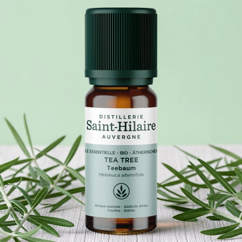 Huile essentielle Tea tree BIO - 10ml