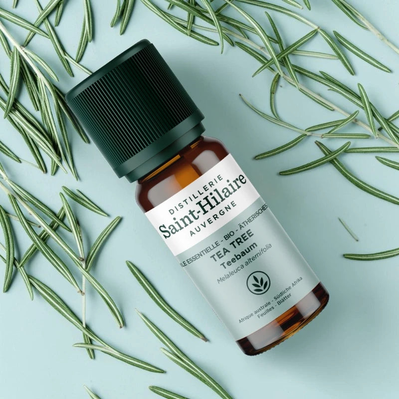 Huile essentielle Tea tree BIO - 10ml