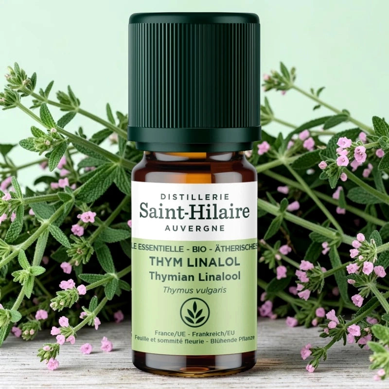 Huile essentielle Thym linalol BIO