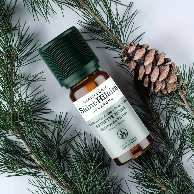 Huile essentielle Epinette noire BIO