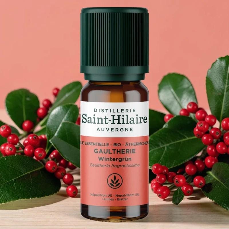 Huile essentielle Gaulthérie BIO - 10ml