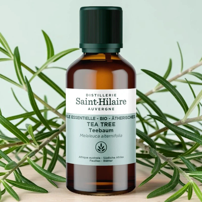 Huile essentielle Tea tree BIO - 30ml