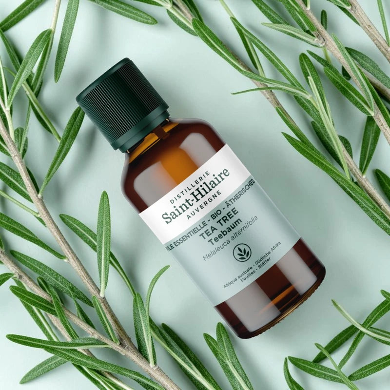 Huile essentielle Tea tree BIO - 30ml