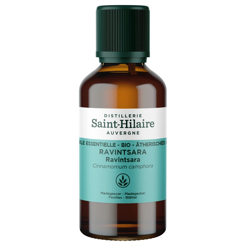 Ätherisches Öl Ravintsara BIO – 30ml