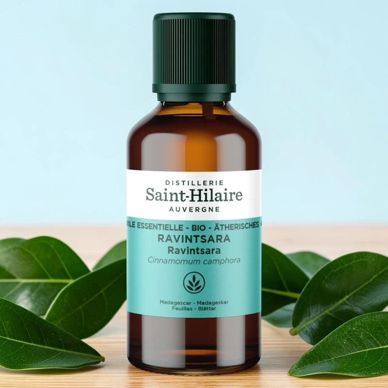 Huile essentielle Ravintsara BIO - 30ml