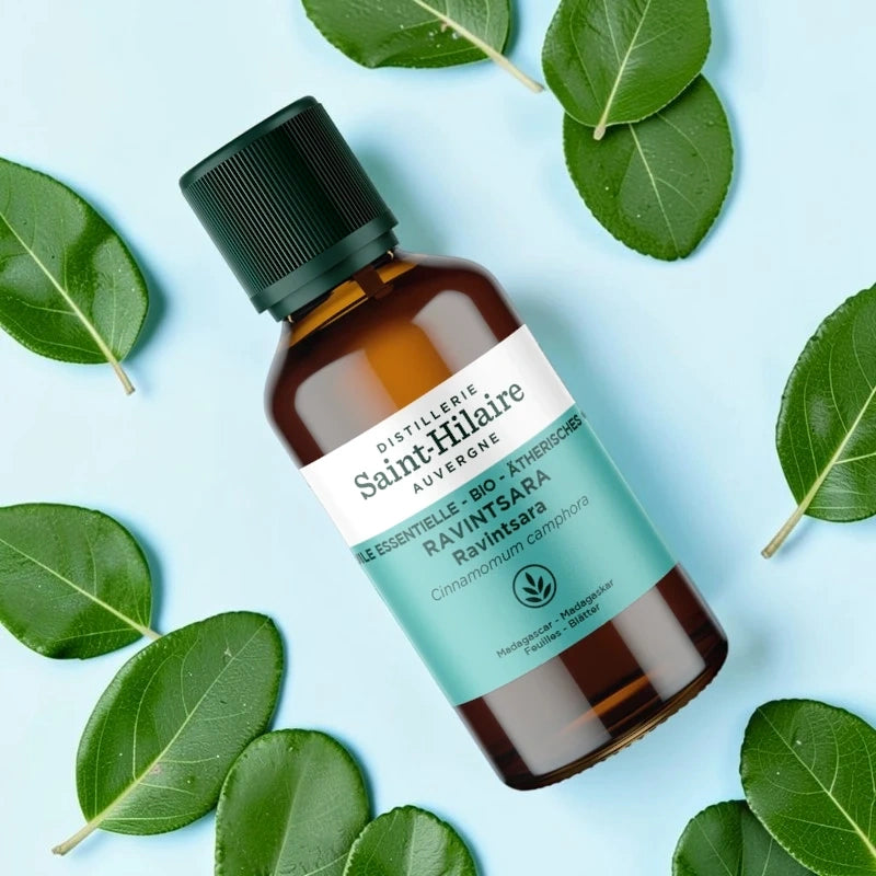 Huile essentielle Ravintsara BIO - 30ml