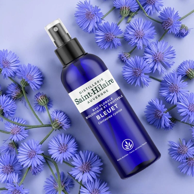Kornblumen-Hydrolat BIO