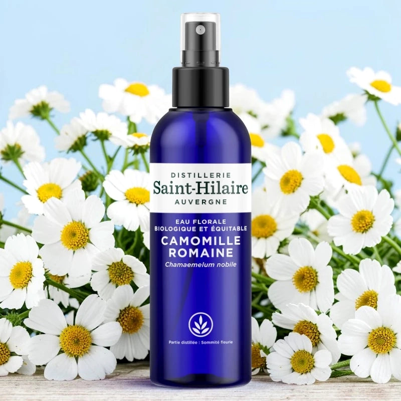 Eau florale de camomille romaine BIO