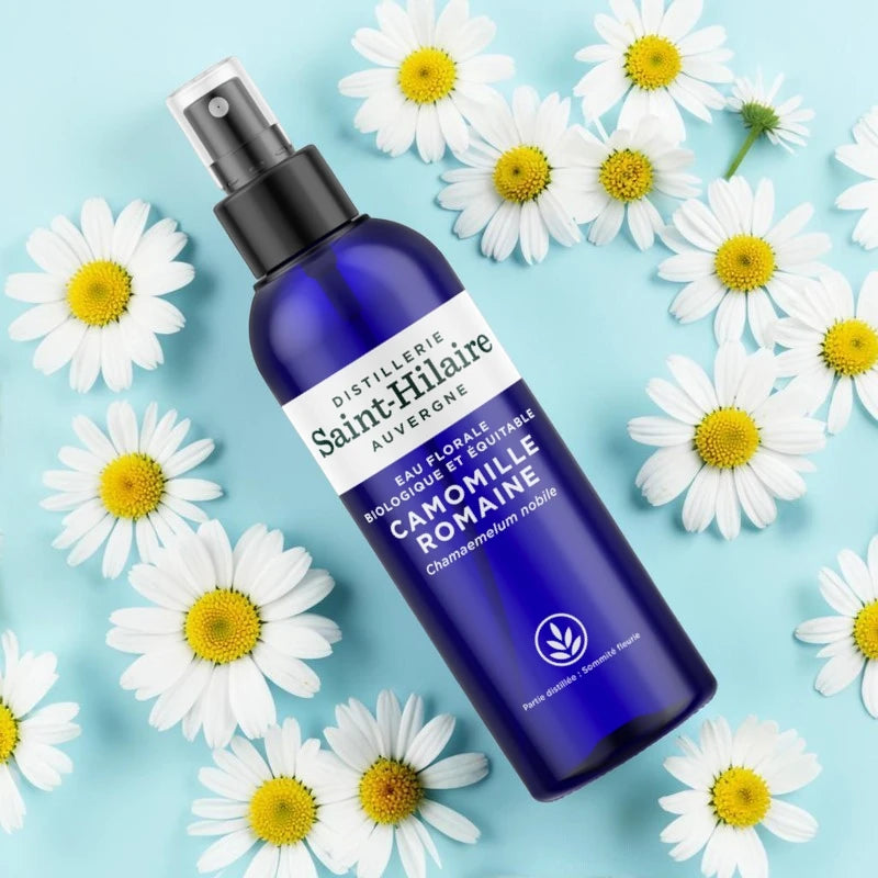 Römische-Kamille-Hydrolat BIO