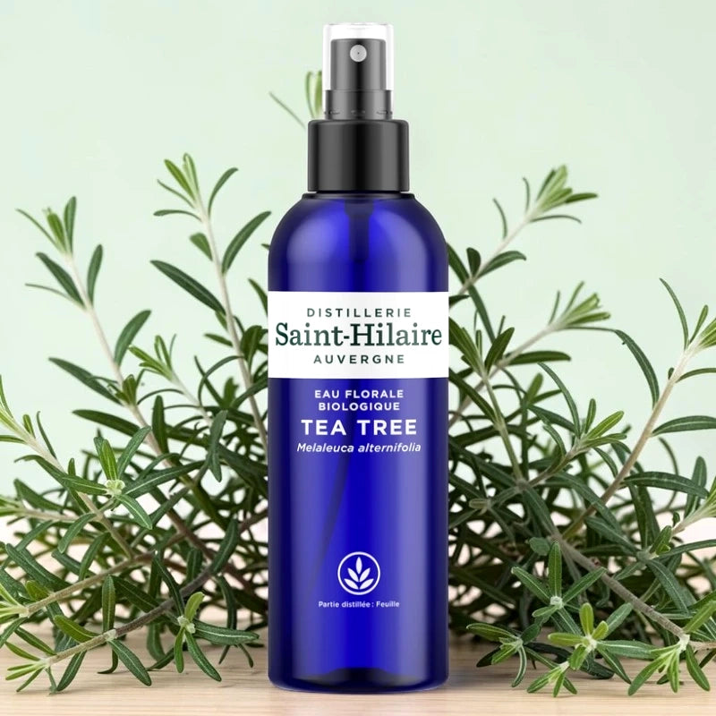 Teebaum-Hydrolat BIO