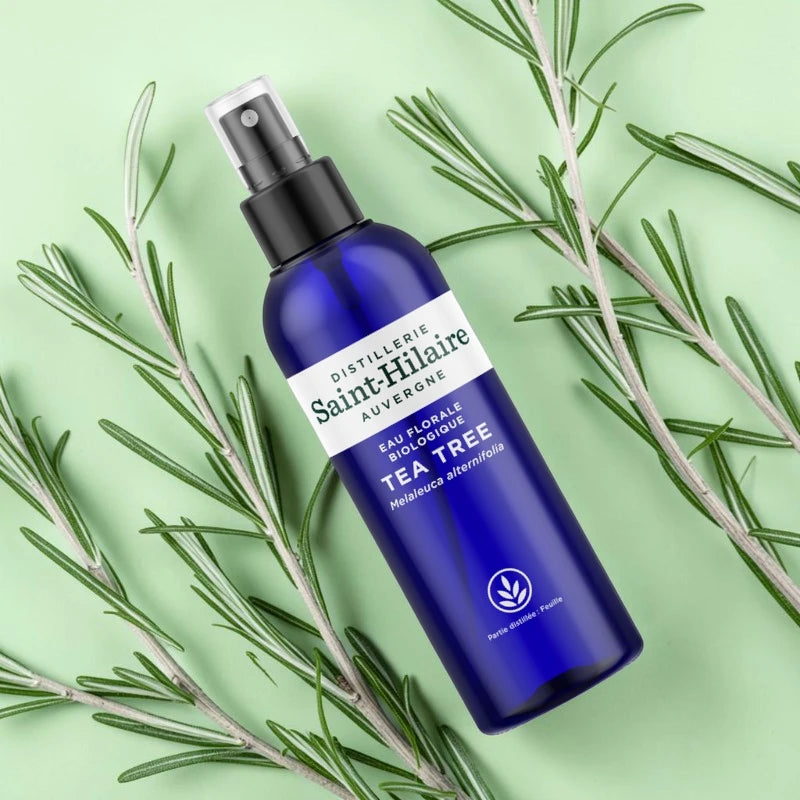 Eau florale de tea tree BIO