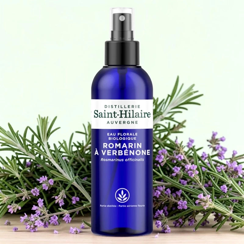 Rosmarin-Verbenon-Hydrolat BIO