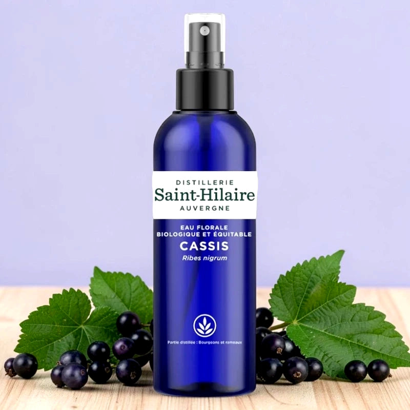 Eau florale de cassis BIO