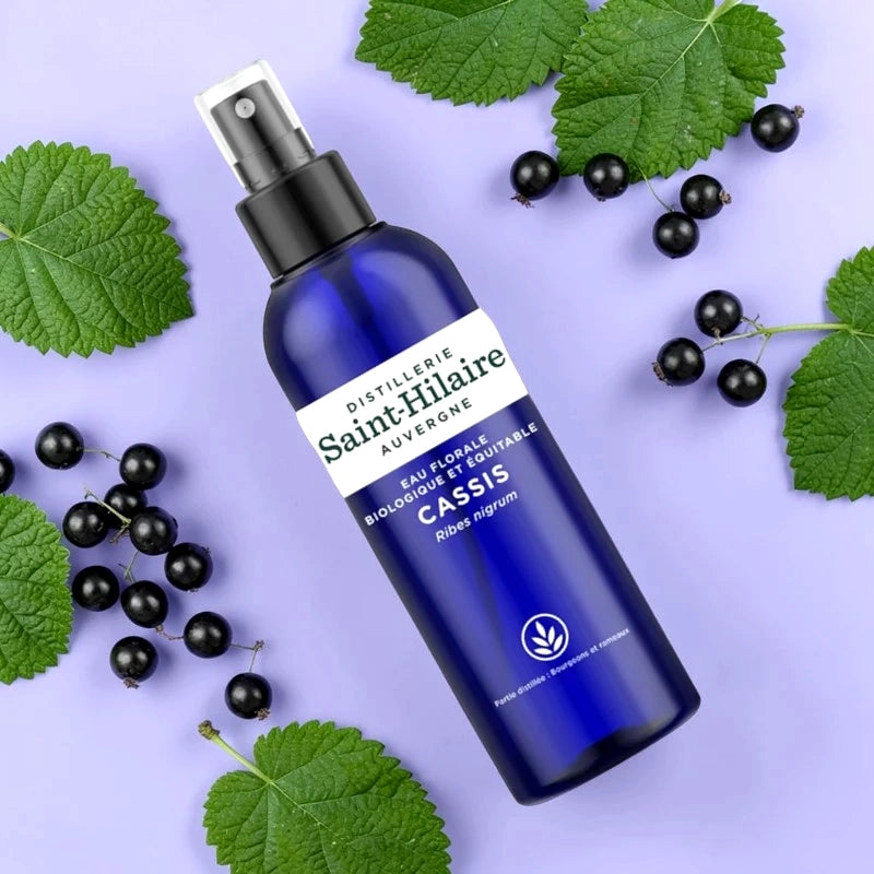 Eau florale de cassis BIO