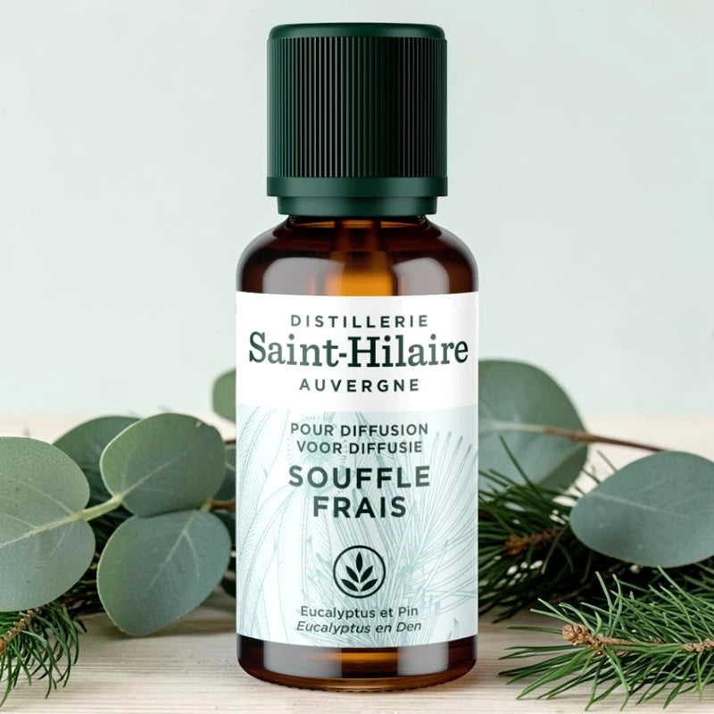 Synergie d'huiles essentielles souffle frais BIO