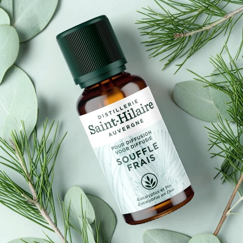 Synergie d'huiles essentielles souffle frais BIO