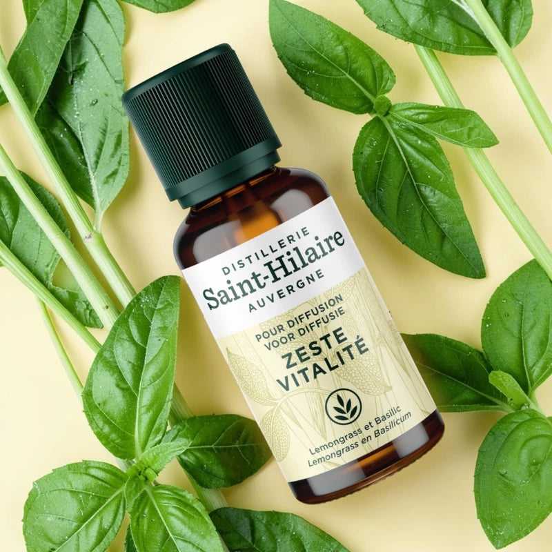 Ätherische-Öl-Synergie Zest der Vitalität BIO
