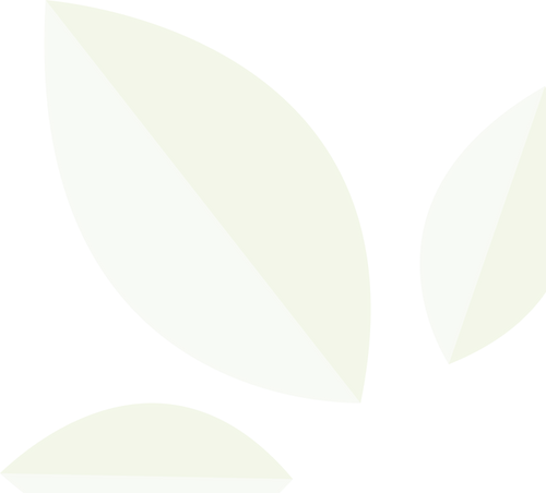 Maté vert BIO Les Jardins de Gaïa 100g