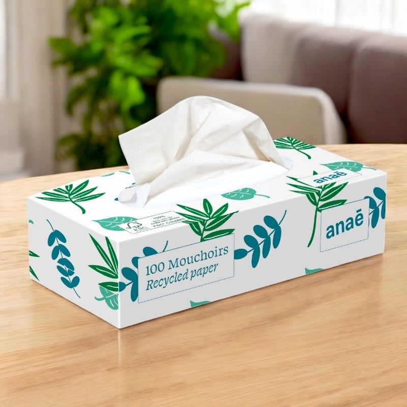 Schachtel mit 100 Taschentüchern aus Recyclingfasern – Anaé