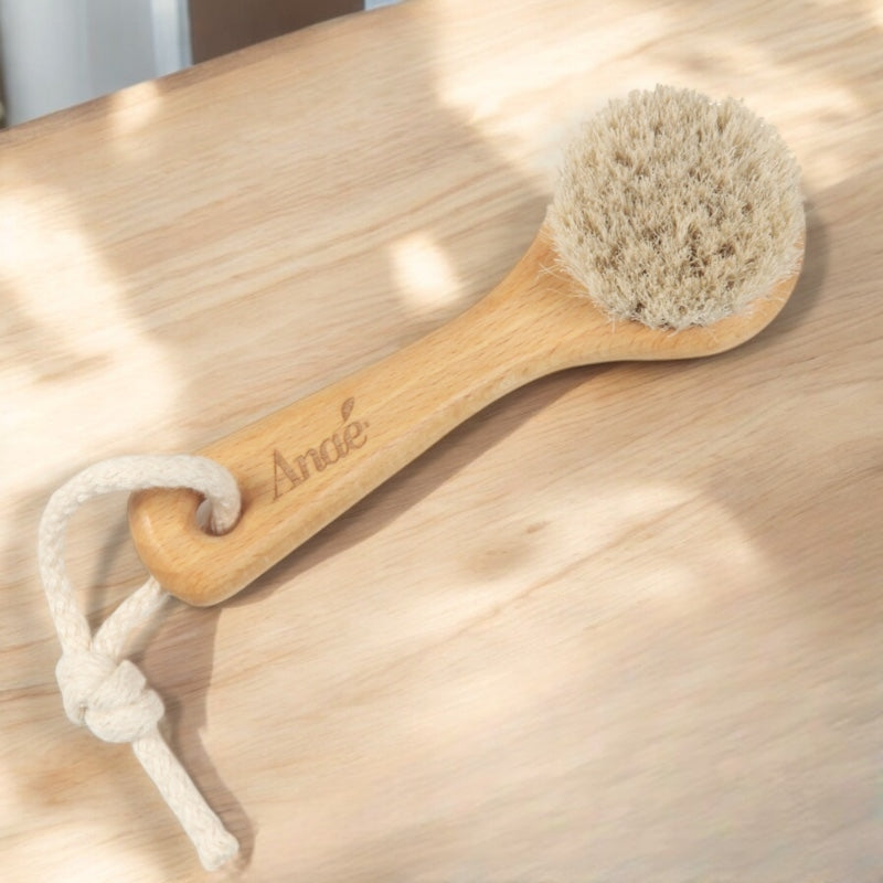 Brosse visage anae 3