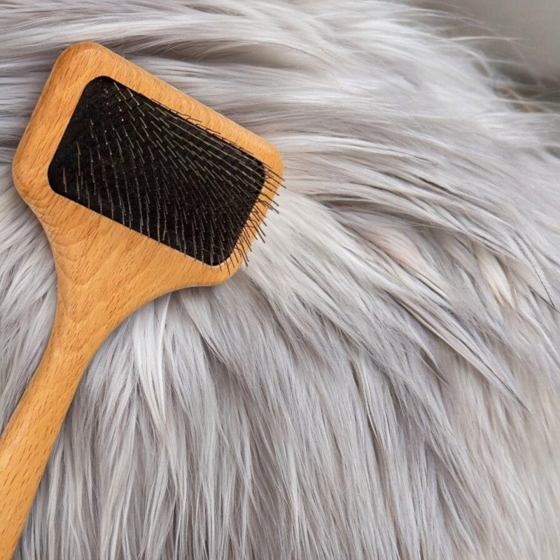 Pflegekarte für Hunde und Katzen – Die umweltfreundliche Drogerie