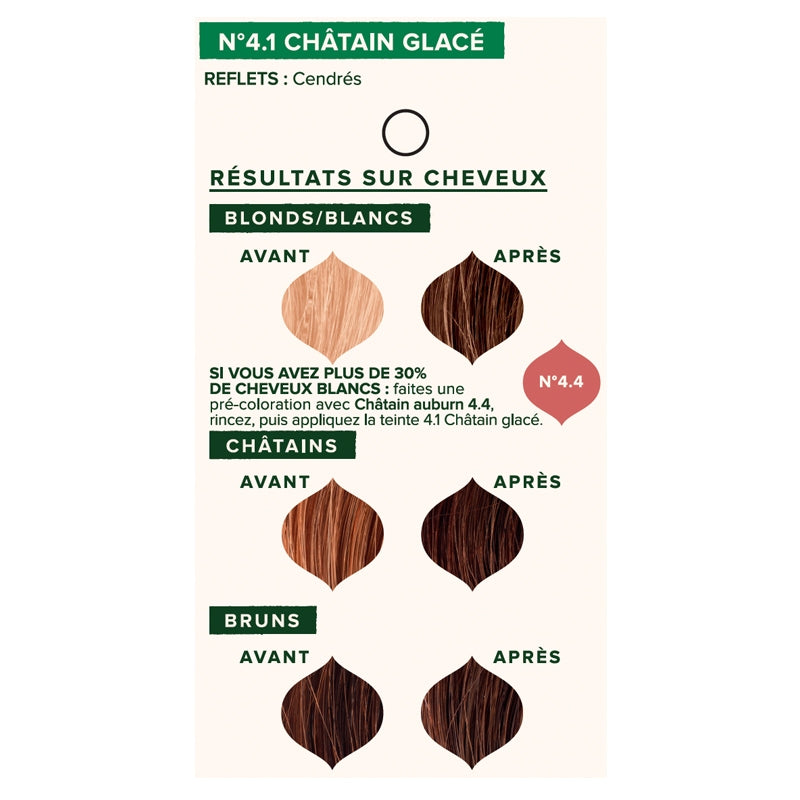 Coloration vegetale bio n41 chatain glace 100 g emblica 4