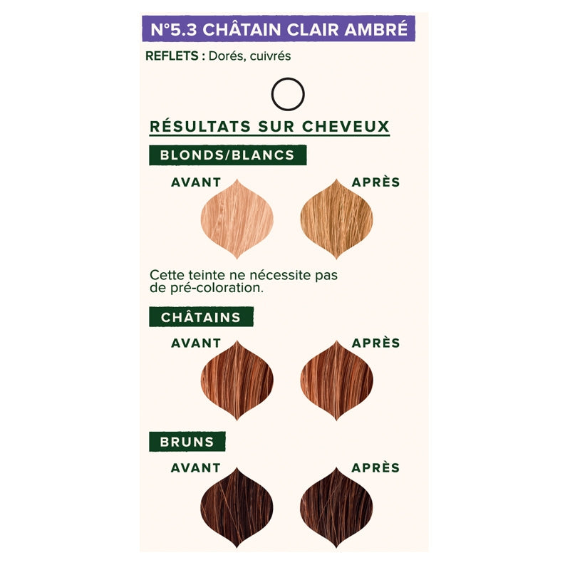Bio-Haarfarbe auf Pflanzenbasis Nr. 5.3 Hellbernsteinbraun - 100 g - Emblica