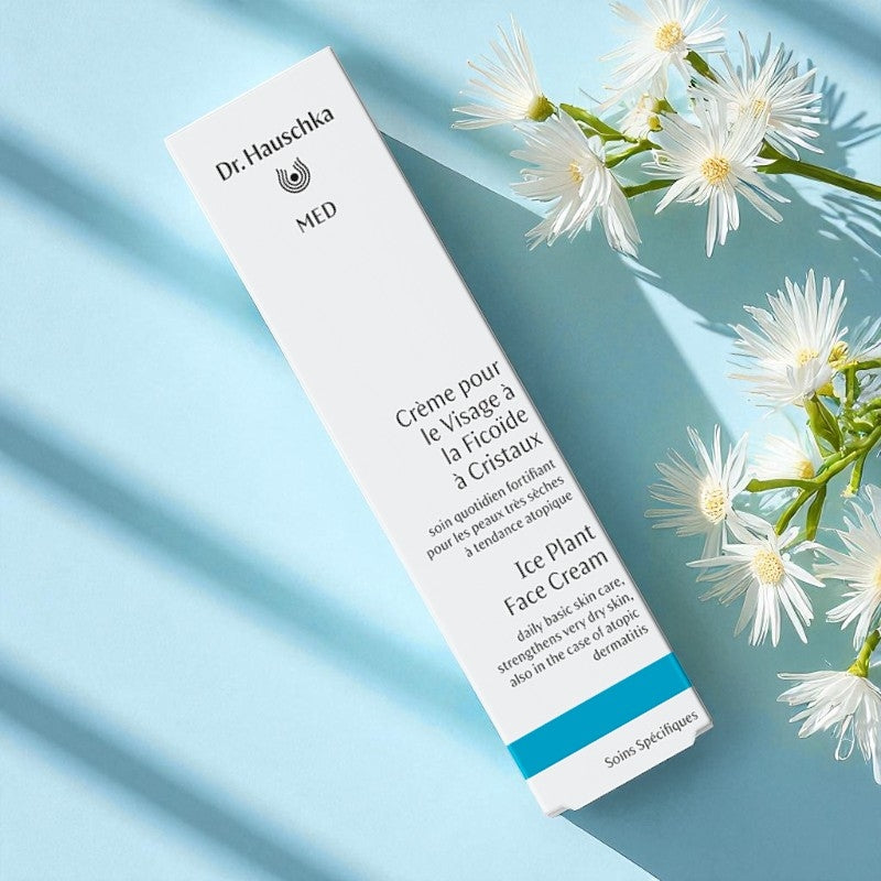 Intensive Gesichtscreme mit Eiskrautextrakt – 40 ml – Dr. Hauschka MED