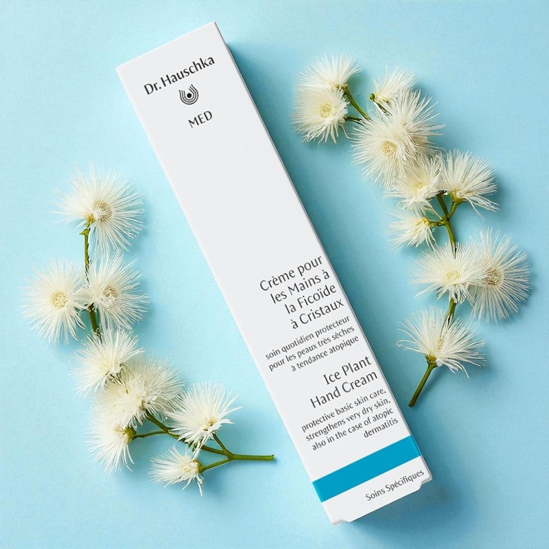 Bio-Eispflanzen-Handcreme – 50 ml – Dr. Hauschka MED