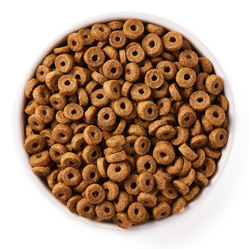 Bio-Katzenfutter mit Huhn und Getreide – 2,4 kg – Yarrah