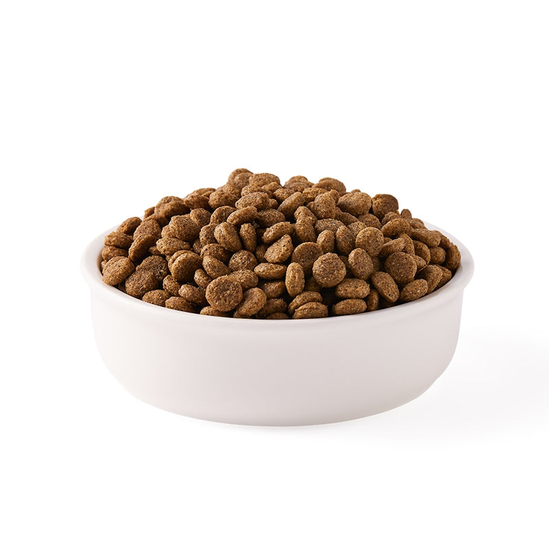 Bio-Katzenfutter mit Huhn und Fisch, weizenfrei – 6 kg – Yarrah