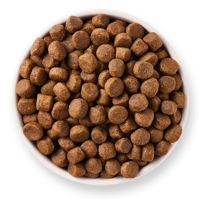 Bio-Hundefutter mit Huhn, getreidefrei, 10 kg – Yarrah