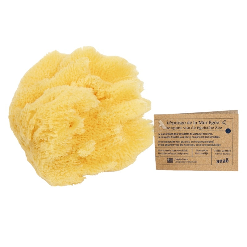 Großer Naturschwamm - Anaé