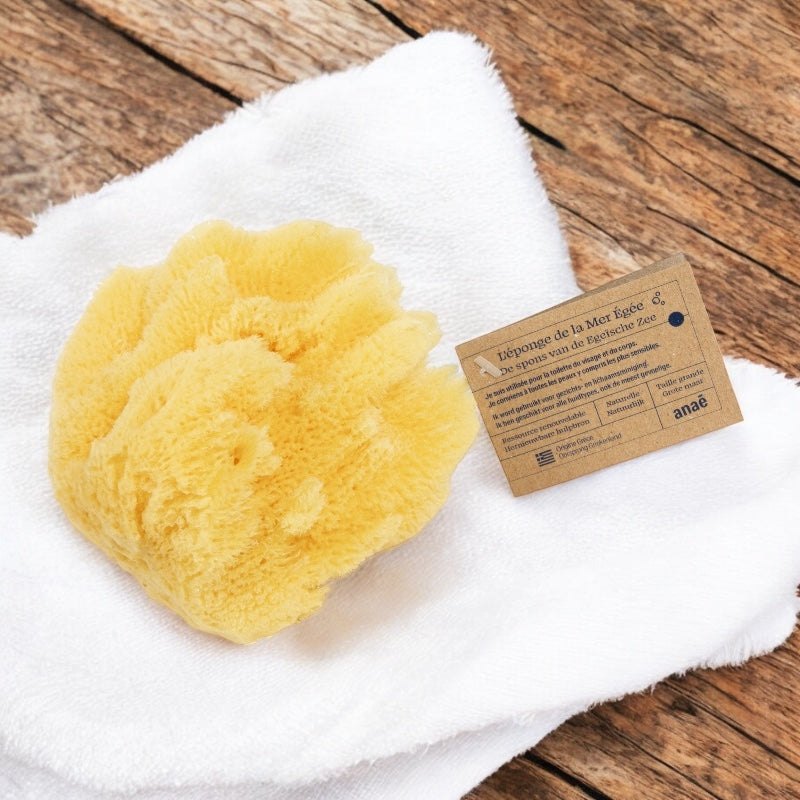 Eponge naturelle grande anae 3