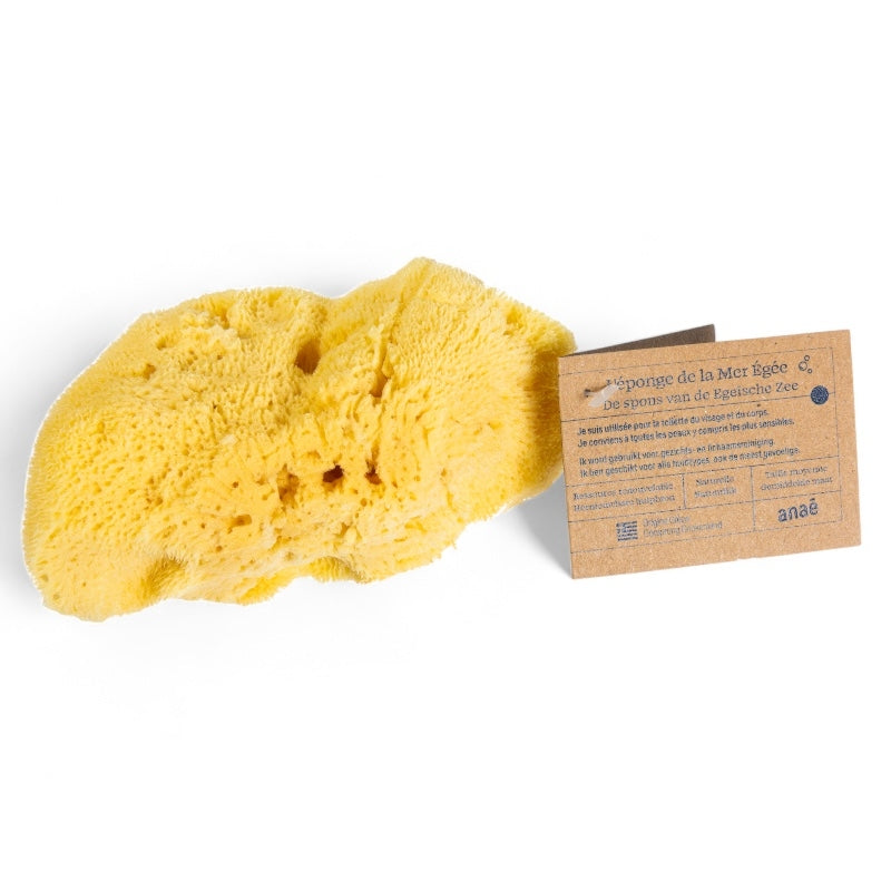 Mittelgroßer Naturschwamm - Anaé