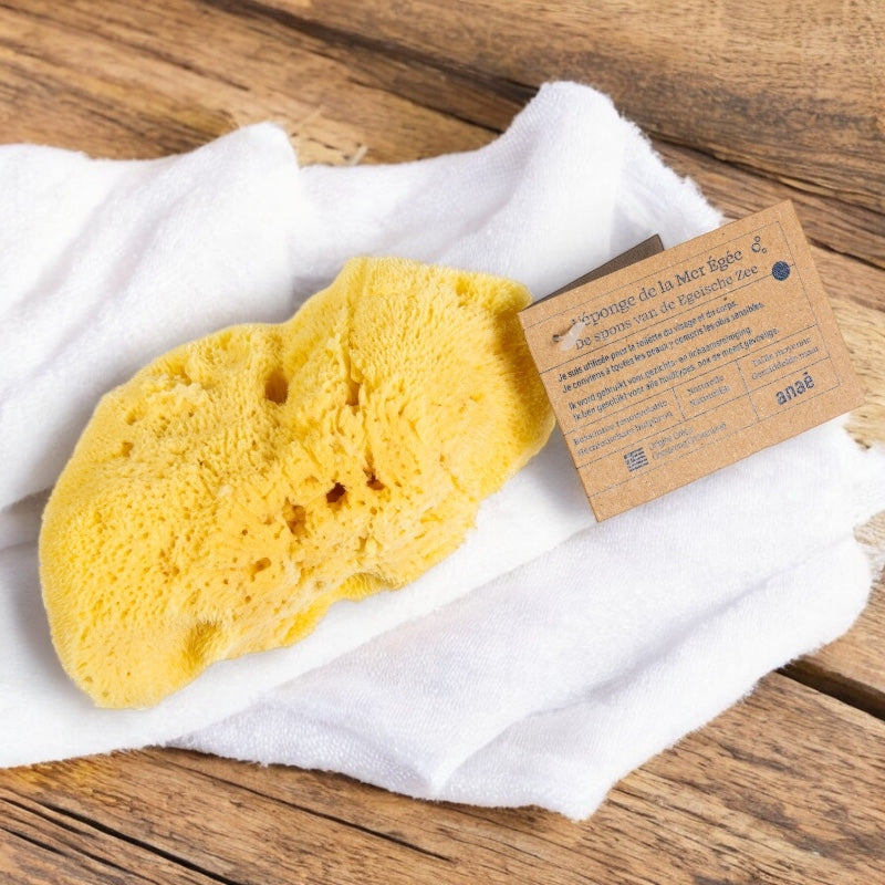 Éponge naturelle moyenne - Anaé
