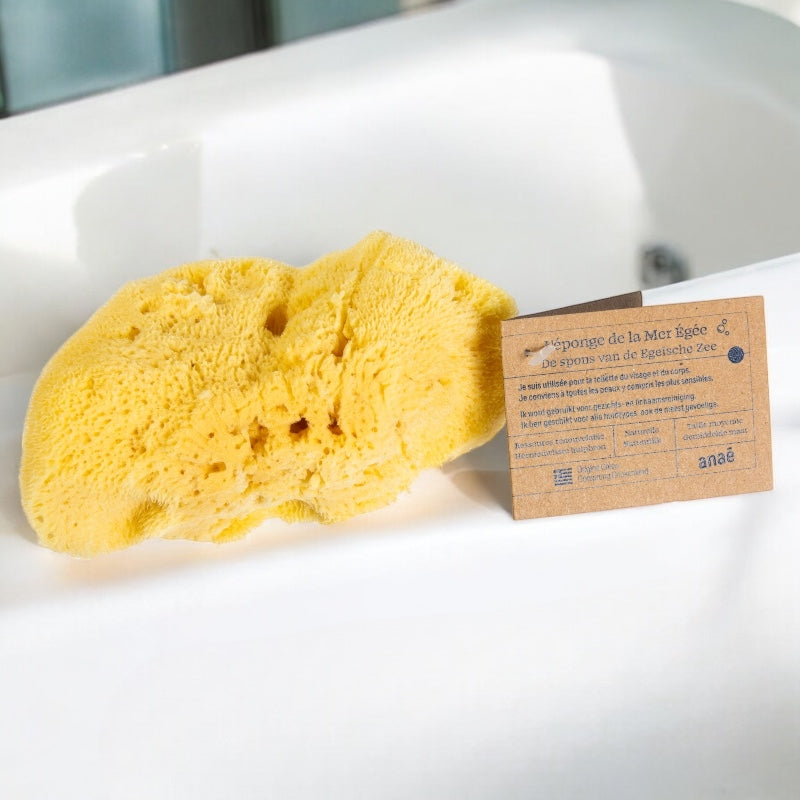 Mittelgroßer Naturschwamm - Anaé