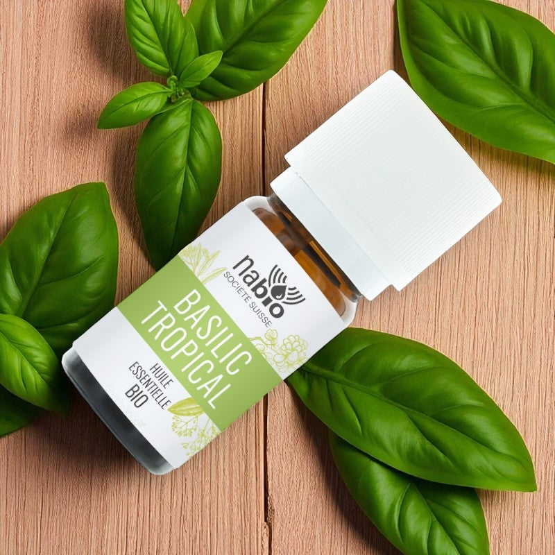Ätherisches Bio-Basilikumöl (Tropenbasilikum) – 10 ml – Nabio
