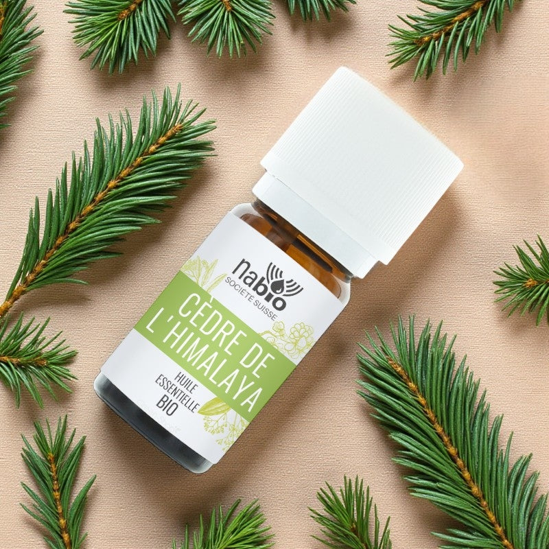 Huile essentielle BIO Cèdre de l'Himalaya - 10ml - Nabio