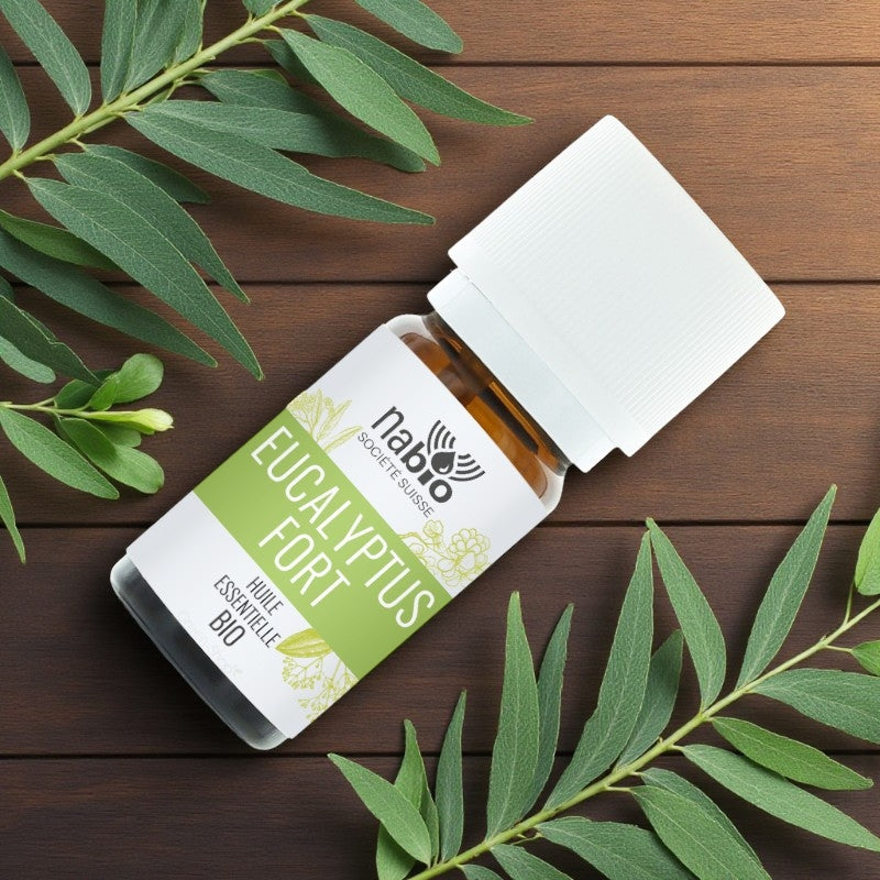 Ätherisches Bio-Eukalyptusöl – 10 ml – Nabio
