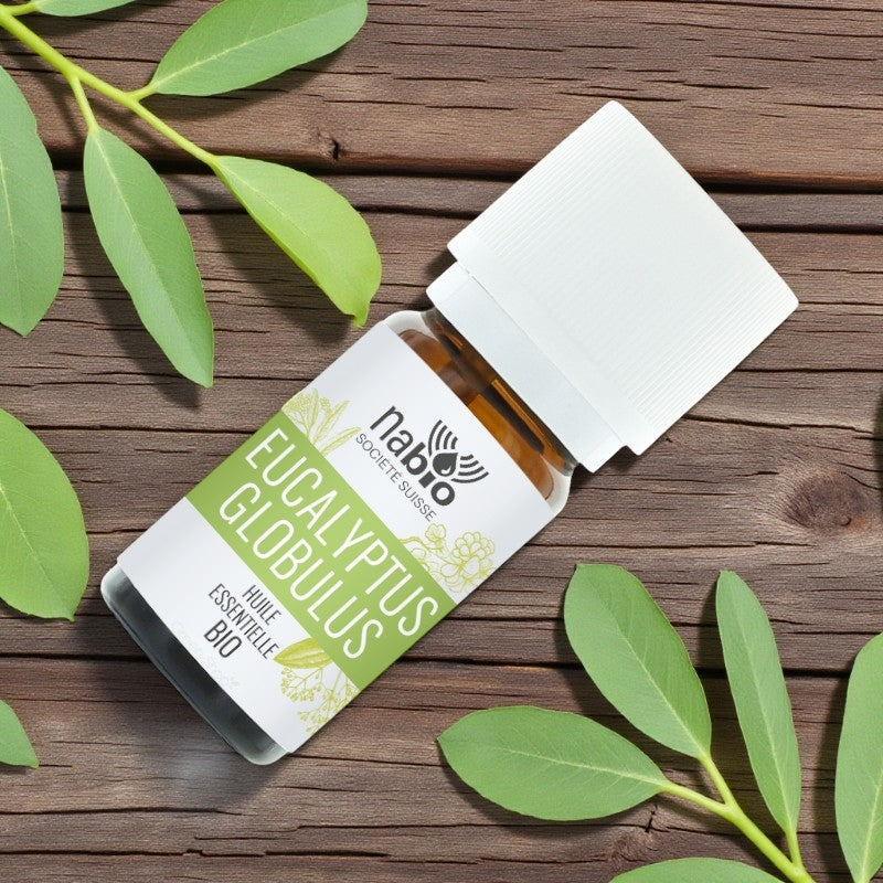 Huile essentielle BIO Eucalyptus globulus - 10ml - Nabio