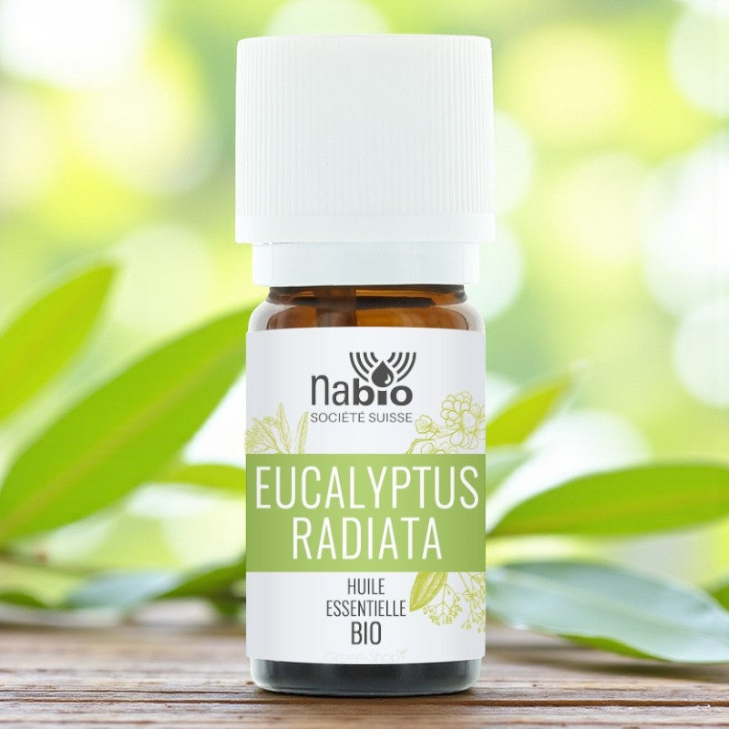 Ätherisches Bio-Eukalyptusöl (Eucalyptus radiata) – 10 ml – Nabio