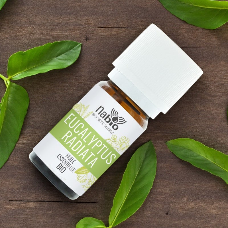 Huile essentielle BIO Eucalyptus radiata - 10ml - Nabio