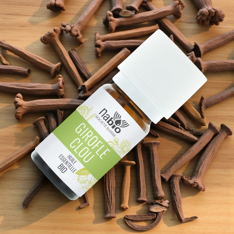 Ätherisches Bio-Nelkenöl – 10 ml – Nabio