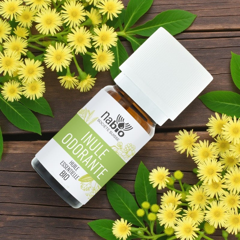 Huile essentielle BIO Inule odorante - 1ml - Nabio