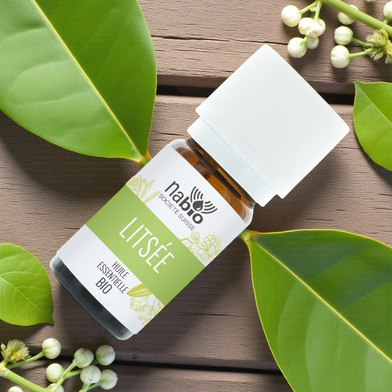Ätherisches Bio-Litseaöl – 10 ml – Nabio